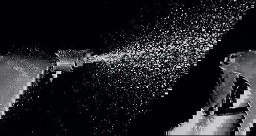 The Itchy Issue of Fleas: A Risk for Your Pet and Your Family