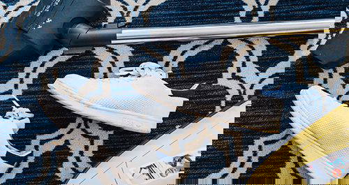 The Itchy Issue of Fleas: A Risk for Your Pet and Your Family