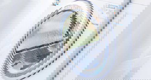 The Itchy Issue of Fleas: A Risk for Your Pet and Your Family