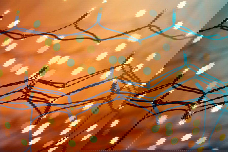 5 Top Tips for Keeping Pets at Christmas Happy and Healthy