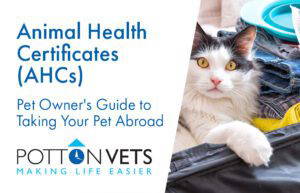 Animal Health Certificates