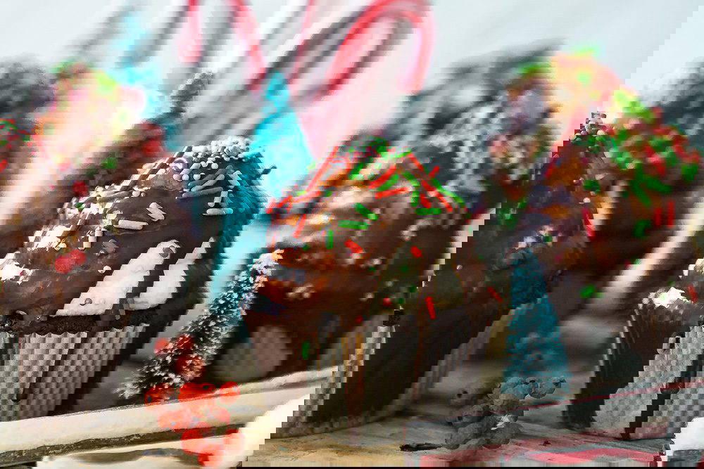 Keeping Your Pets Safe At Christmas