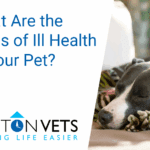 What are the signs of ill health in your pet | Potton Vets
