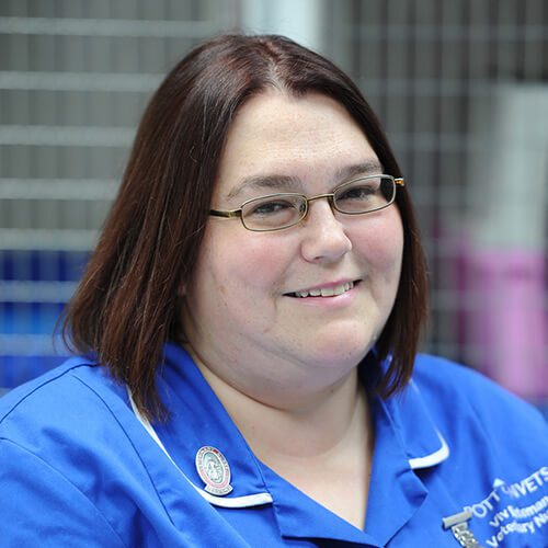 potton-vets-meet-the-team-staff-vivienne-bateman