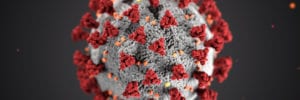 Coronavirus advice for Potton Vet's clients