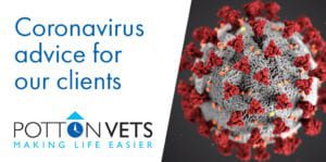 Coronavirus advice for Potton Vet's clients