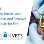 Ticks | Disease Transmission Symptoms and Removal Techniques for Pets