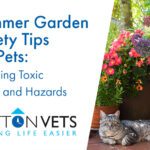 Summer Garden Safety for Pets