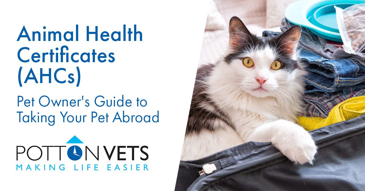 Animal Health Certificates (AHCs) Pet Owner's Guide to Taking Your Pet Abroad Potton