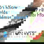 How Do I Know if My Pet Has Dental Problems