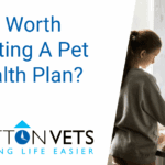 Is it worth getting a pet health plan | Potton Vets