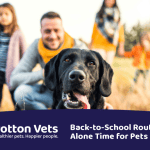 Back to school - alone time for pets | Potton Vets